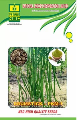 Nsc Drumstick/Moringa PKM-1, 50 Gram TL seeds