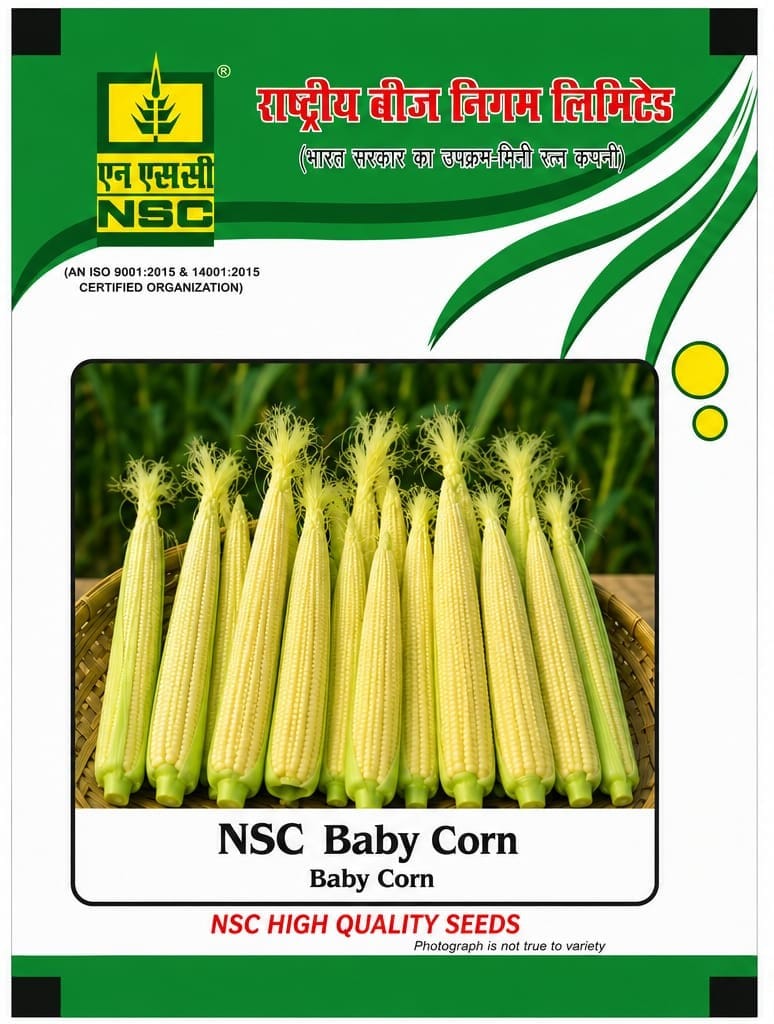 NSC Baby Corn 100gm 