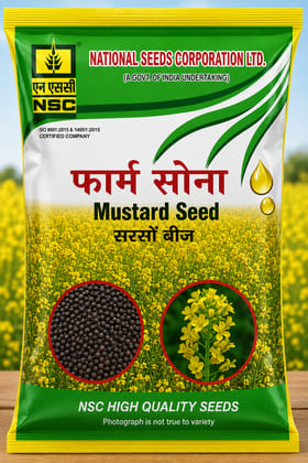 NSC Mustard RH-761,  1Kg Truthfully labelled seed pouch