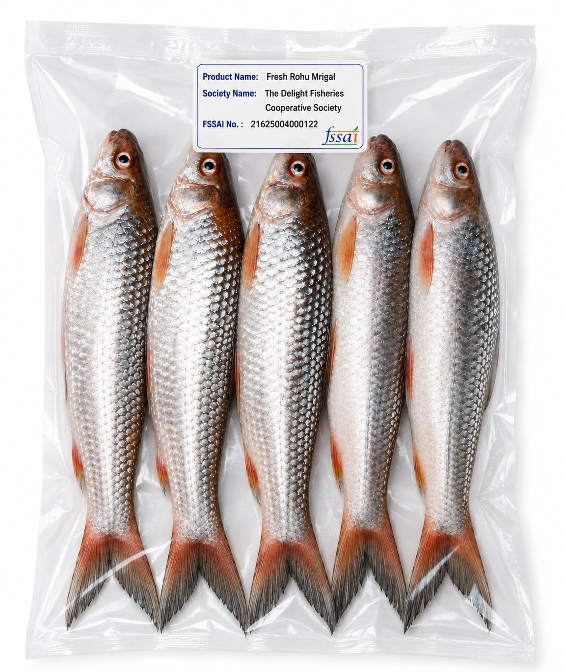 Fresh Rohu Mrigal Fish (5 Pieces)