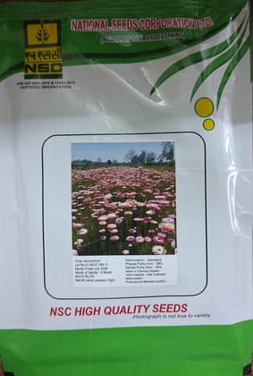 NSC Acroclinium Flower Seed, 10gm