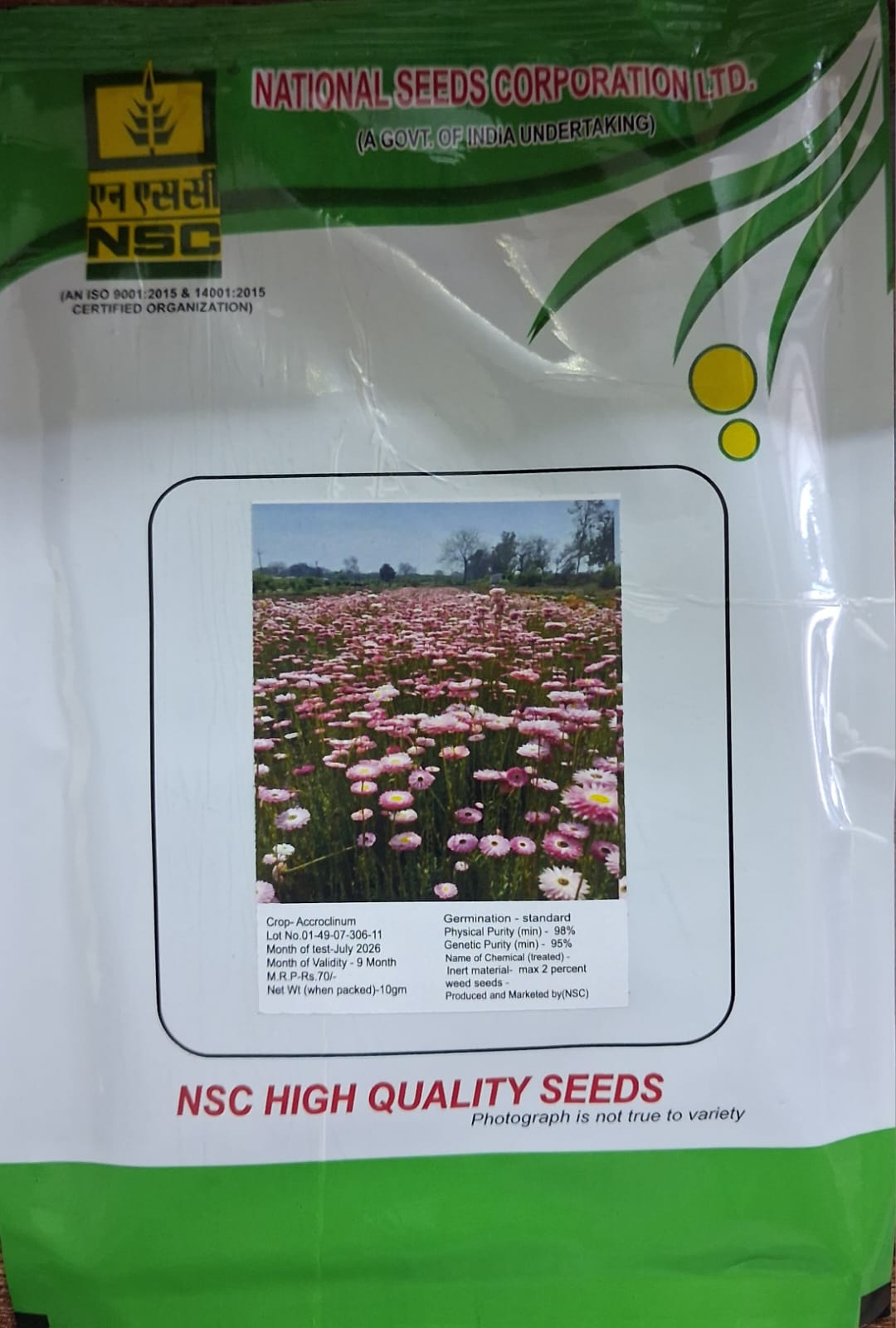 NSC Acroclinium Flower Seed, 10gm