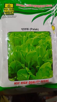 NSC PALAK ALL GREEN TL 500 GMS