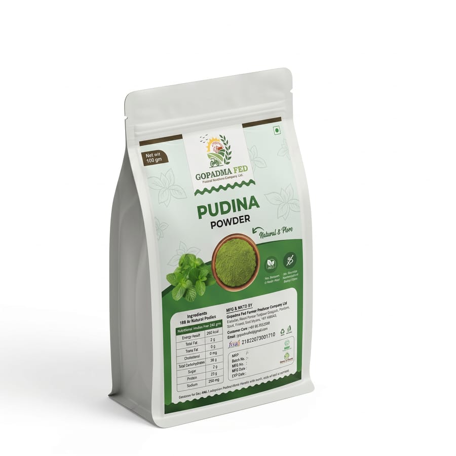 Pudina Powder - 100 gm 