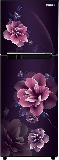 Samsung 236L 2 Star Digital Inverter Frost-Free Double Door Refrigerator Appliance (RT28C3022CR/NL,Camellia Purple