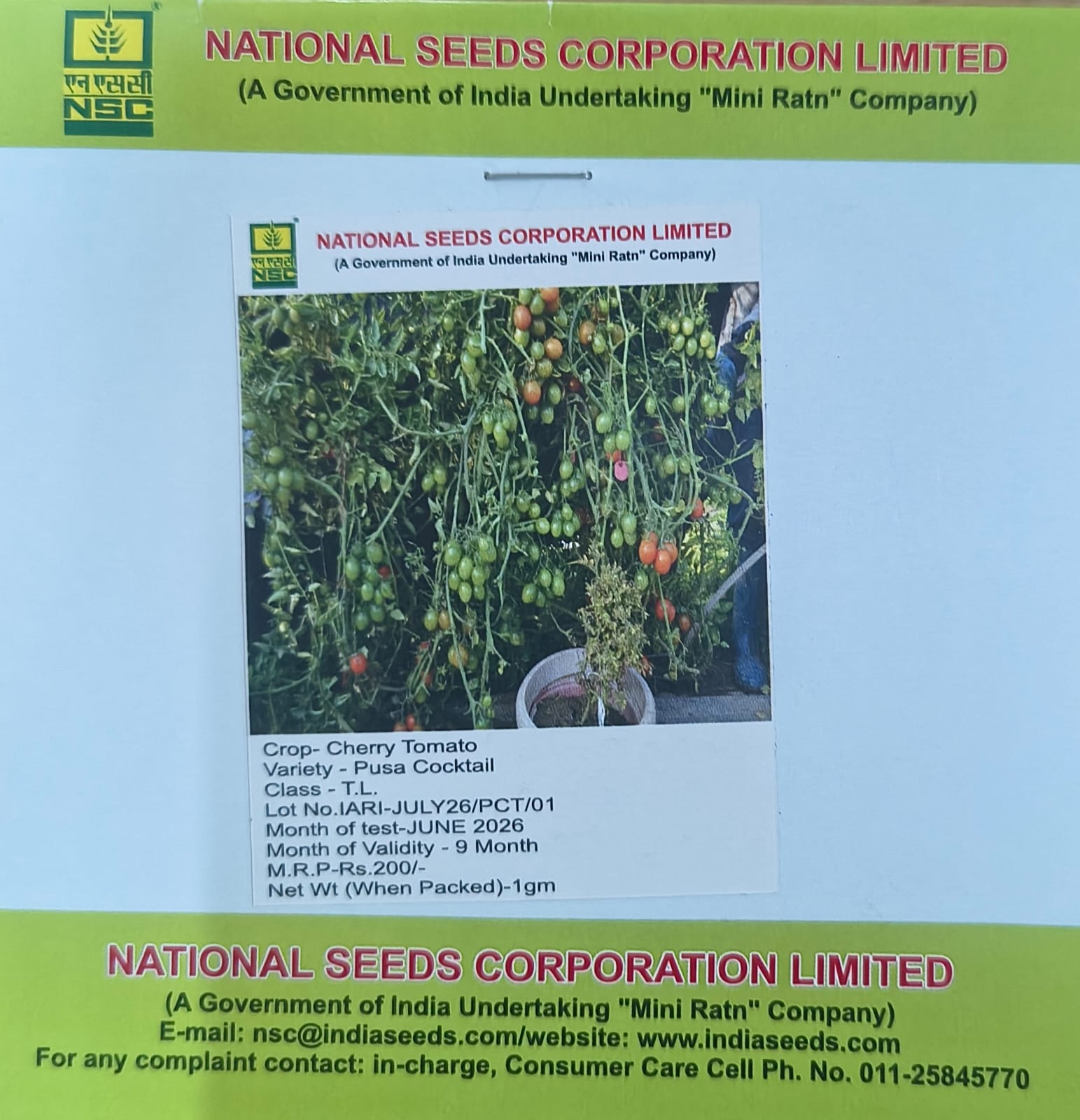 NSC Cherry Tomato/ Pusa Cocktail Seed, 1 gm