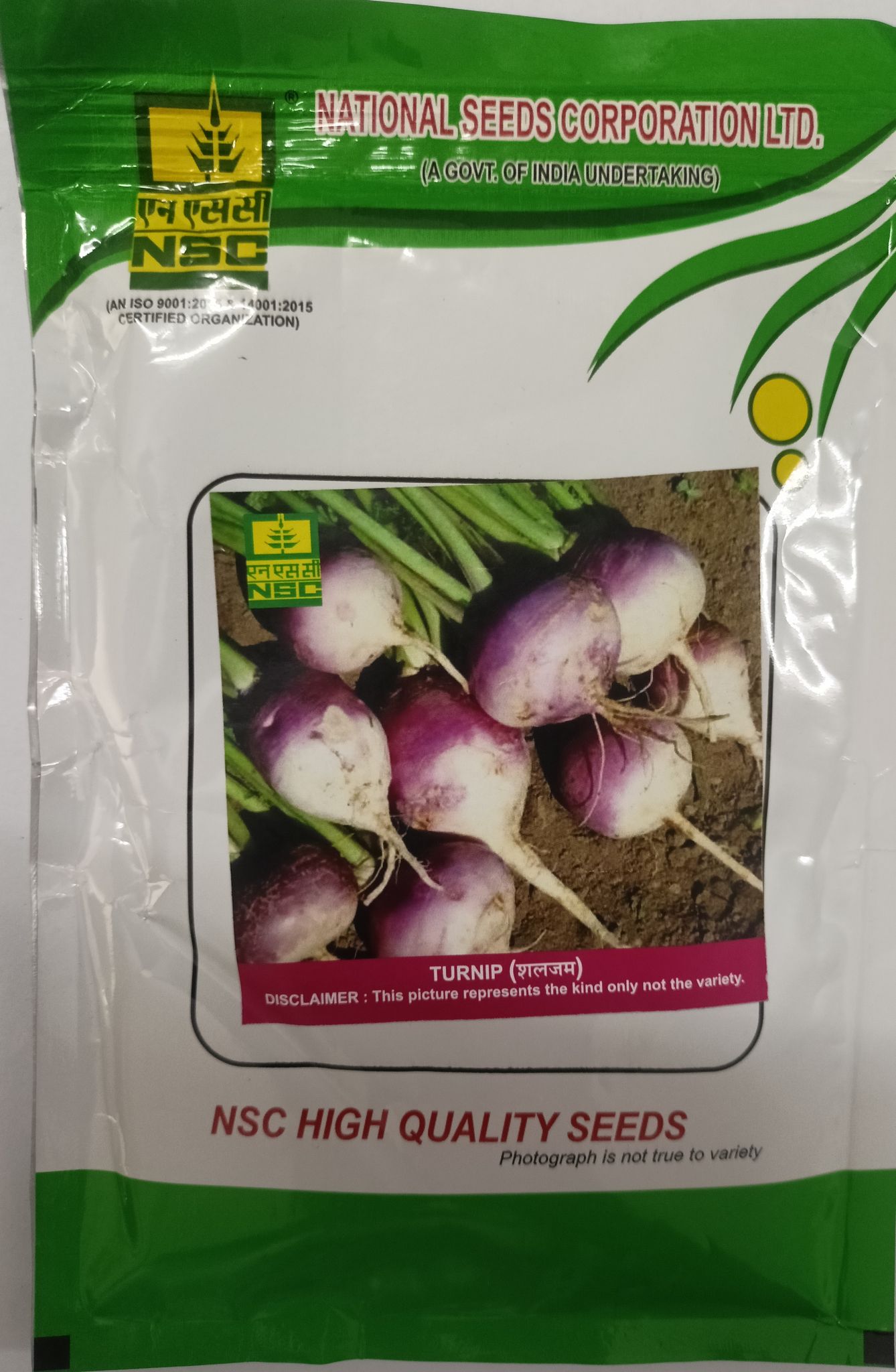Nsc Turnip, PTWG, 100 gram Truthfully Labelled Seed Pouch