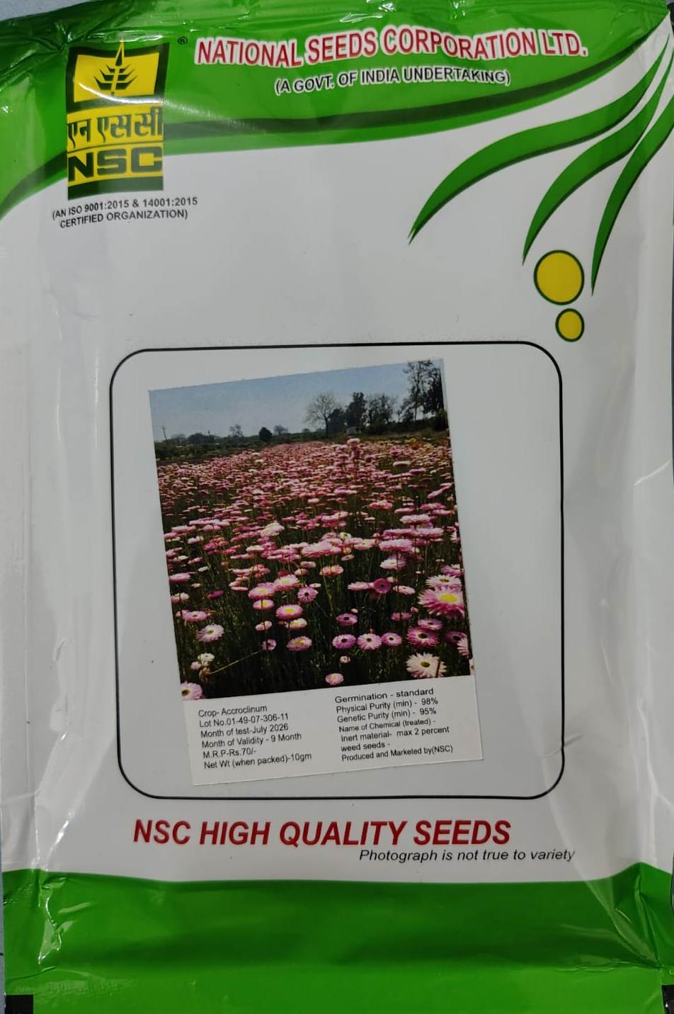 NSC Acroclinum High Quality Flower Seeds 10g