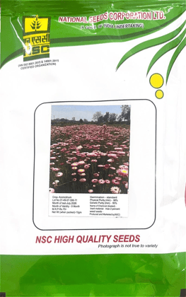 NSC Flower Seed Accroclinum TL 10gm Packing 
