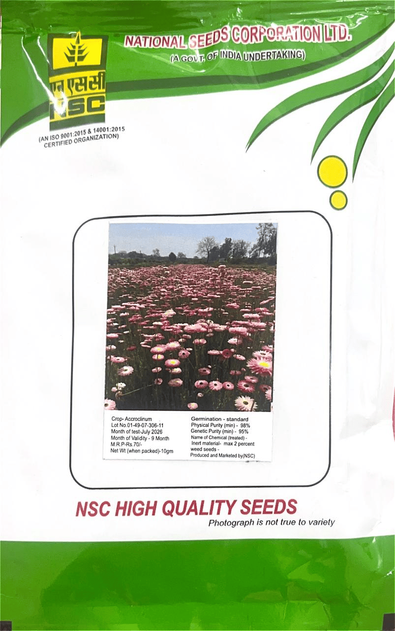 NSC Flower Seed Accroclinum TL 10gm Packing 