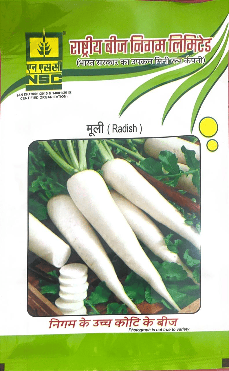 NSC Vegetable Seed Radish Japanis White Seed TL- 10 Gm