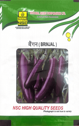 NSC Vegetable Seed Brinjal PPC TL 10 gms