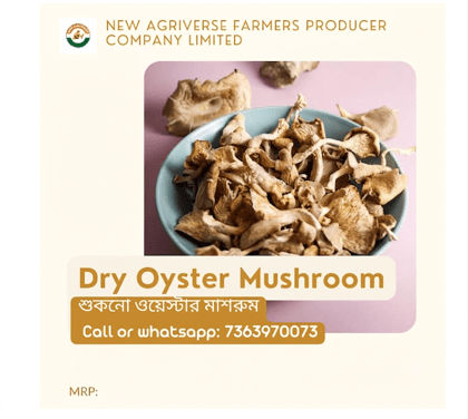 Dry Edible Oyster Mushroom ( Organically Grown Dehydrated Mushroom) 100 gm