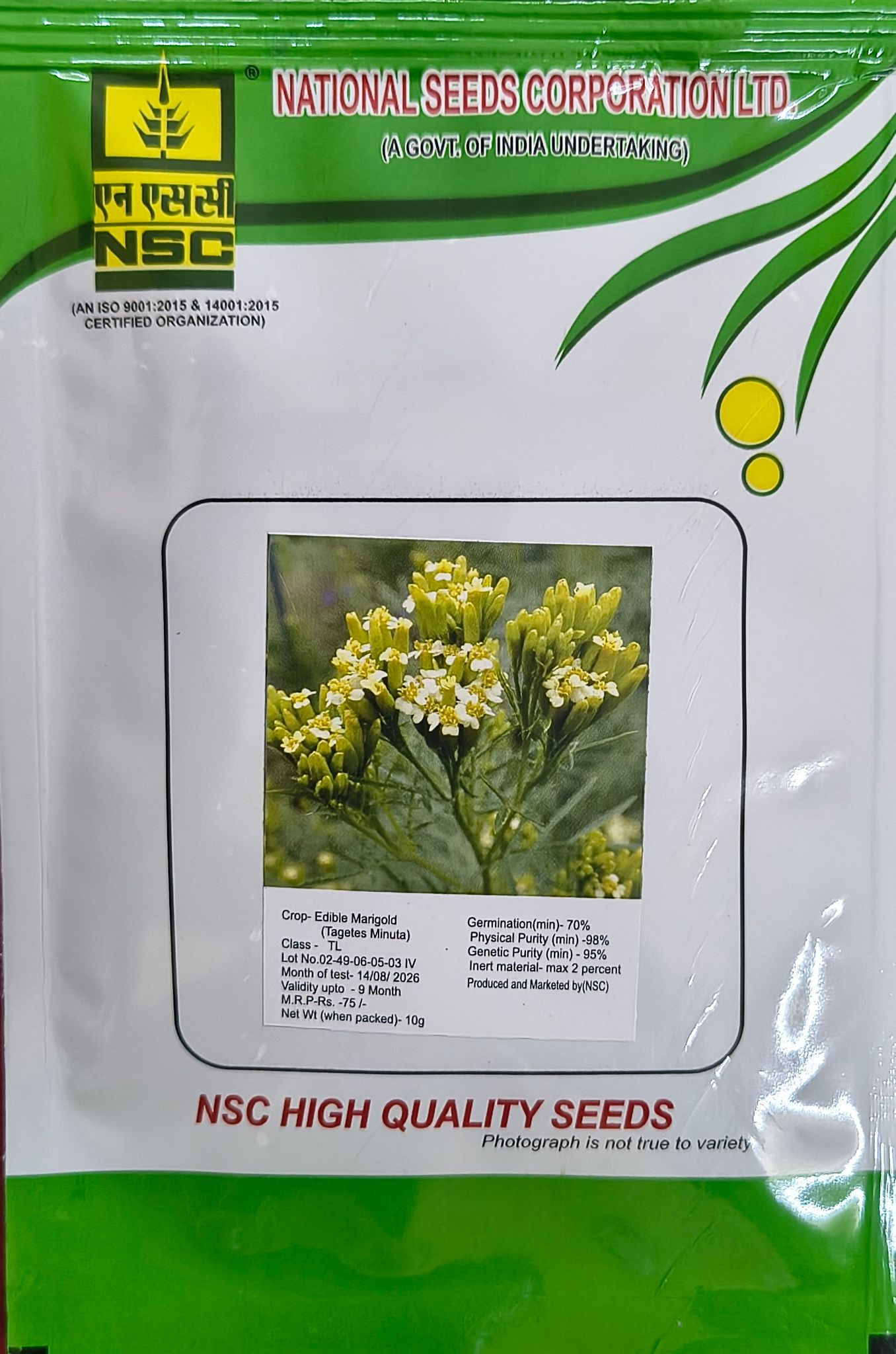 NSC Edible Marigold Tagetes Minuta Seed,10 gm