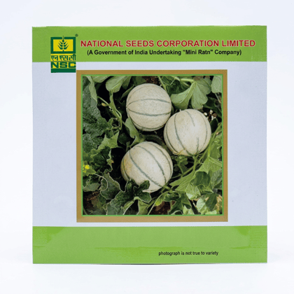 NSC Musk Melon variety-PUSA KAJRI, 5gm of TL seed NSC Musk Melon variety-PUSA KAJRI, 5gm of TL seed