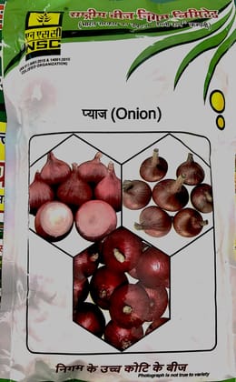 NSC ONION VARIETY BHIMA SUPER HIGH QUALITY TL SEED 250 GMS POUCH