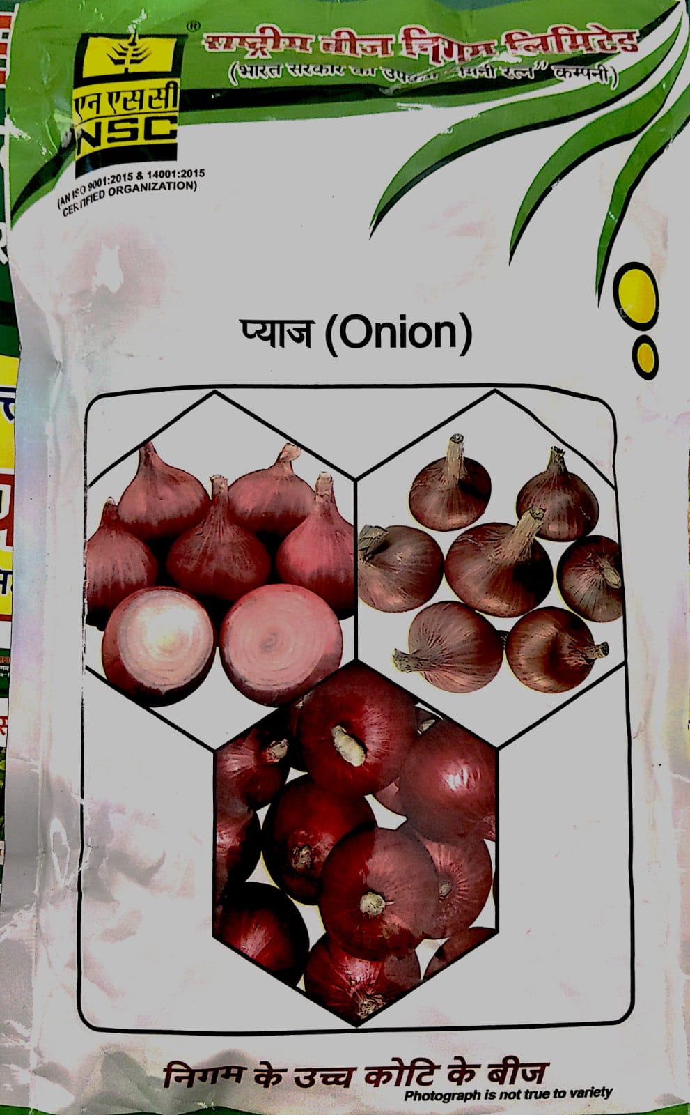 NSC ONION VARIETY BHIMA SUPER HIGH QUALITY TL SEED 250 GMS POUCH