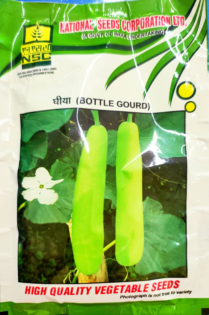 NSC High Quality Bottle Gourd Seeds (50g)