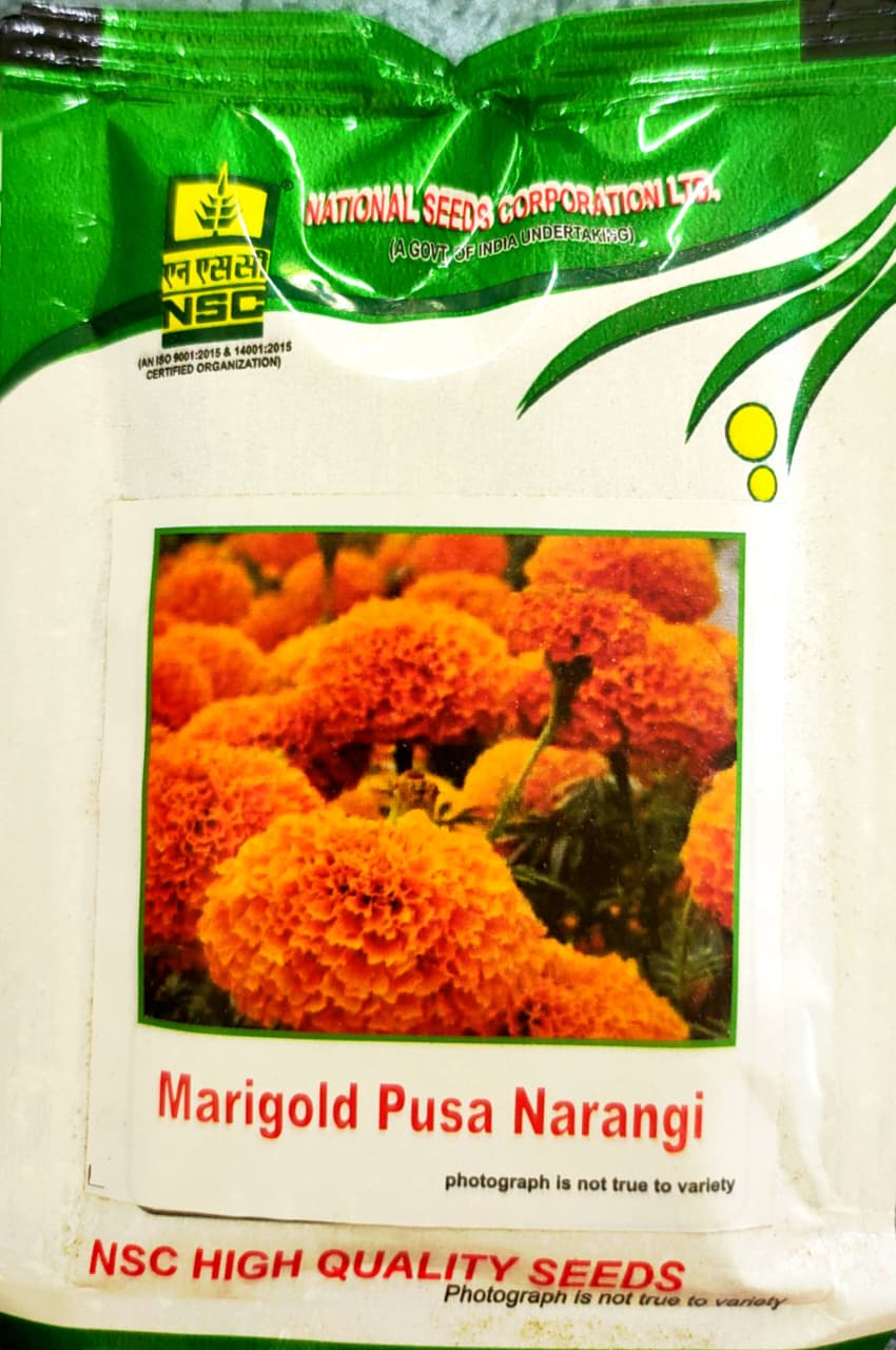 NSC Marigold Pusa Narangi Seeds (10g)