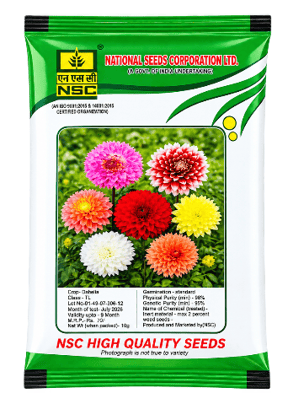 NSC Dahlia High Quality Seeds (10g)(top star mix) NSC Dahlia High Quality Seeds (10g)(top star mix)
