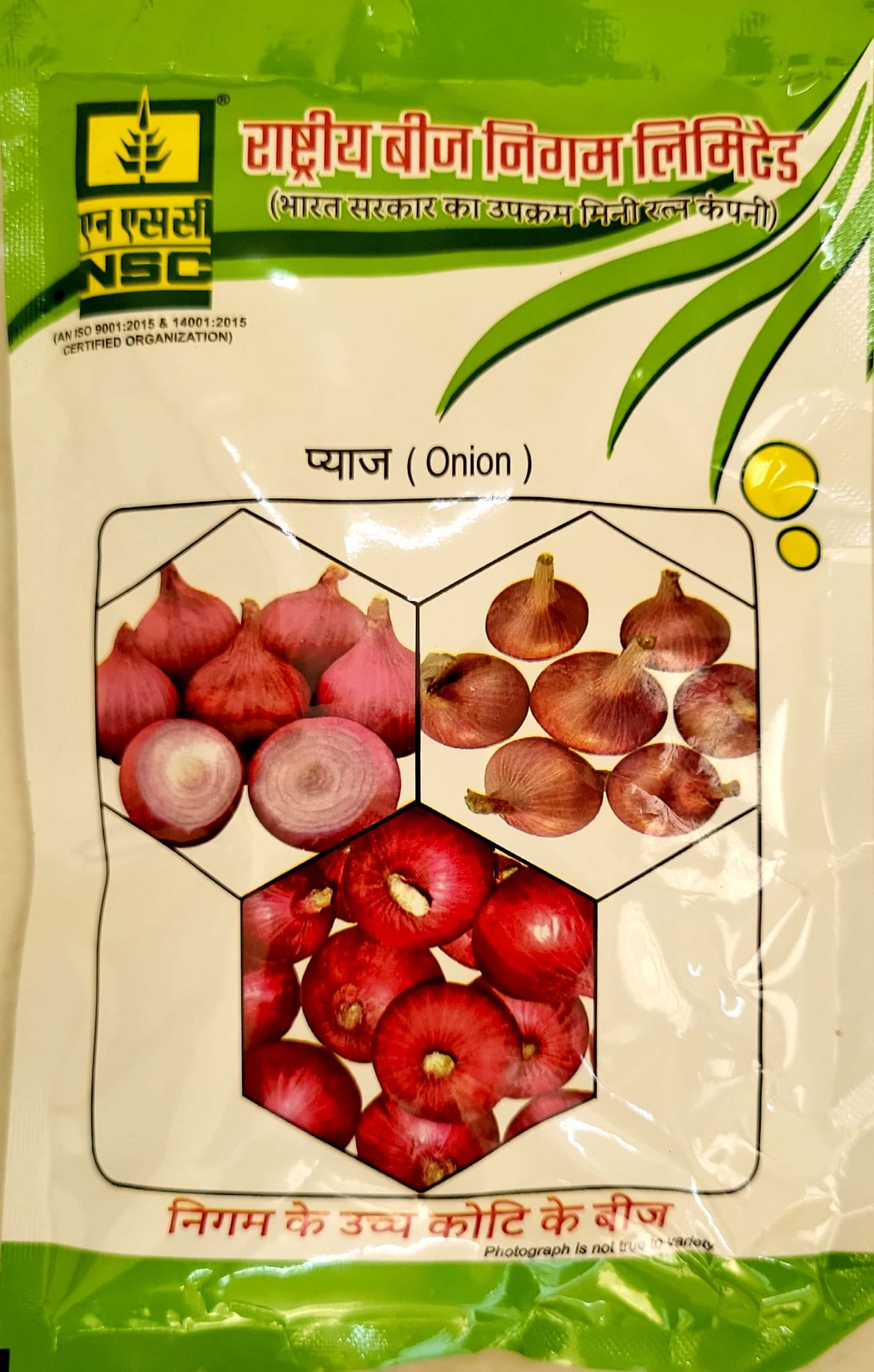 NSC Onion Variety- AFDR Truthful labelled (TL) Seed 100 gm packet