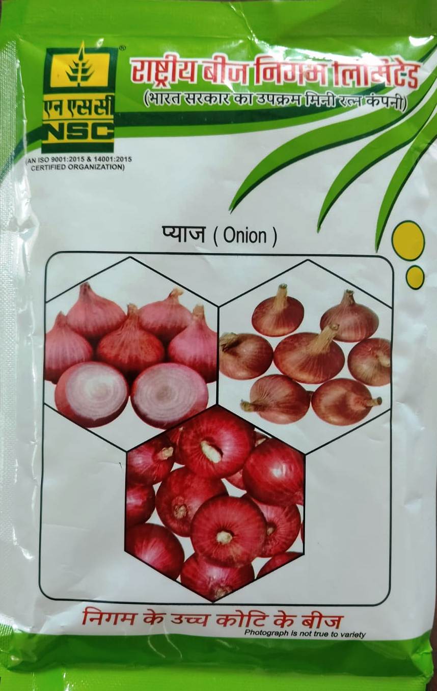 NSC Onion Bhima Dark Red