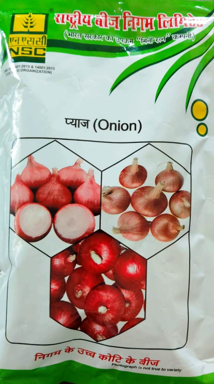 NSC Onion Bhima Super
