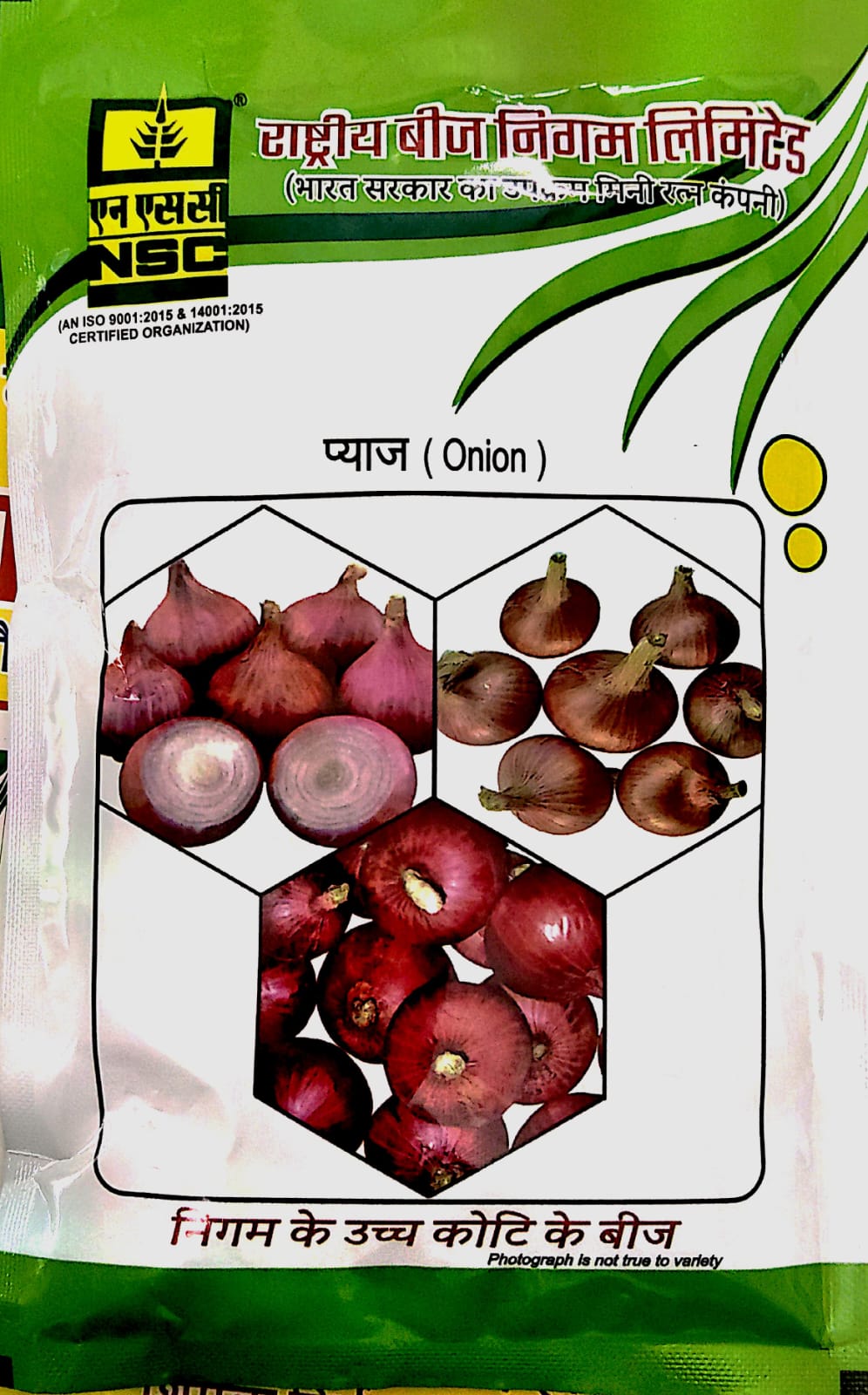 NSC ONION VARIETY BHIMA SHAKTI HIGH QUALITY TL SEED 100 GMS POUCH