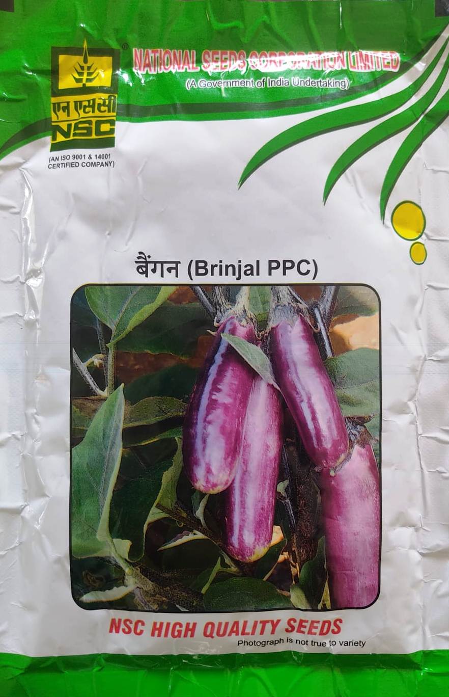 Nsc Brinjal Seeds PPC