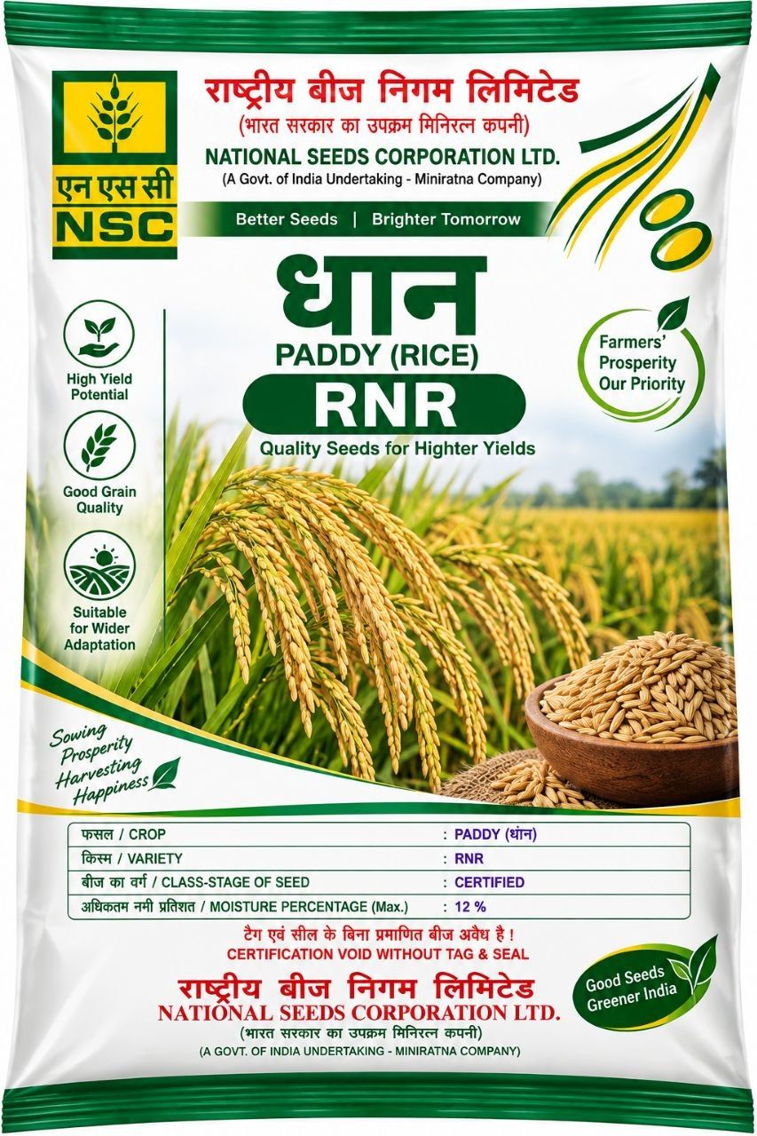 Paddy RNR 10 kg Seeds