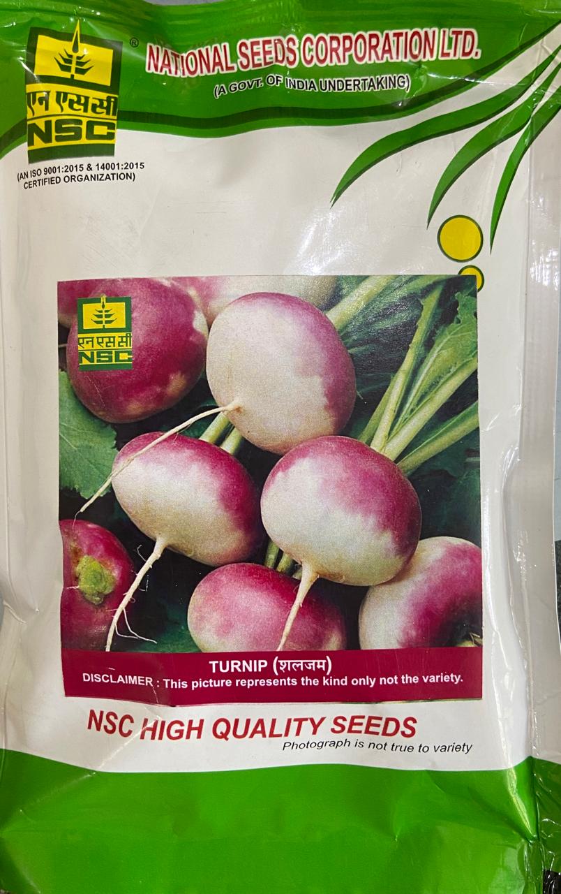 NSC TURNIP VARIETY PUSA SWETI 100 GM PACKING SIZE T/L SEED