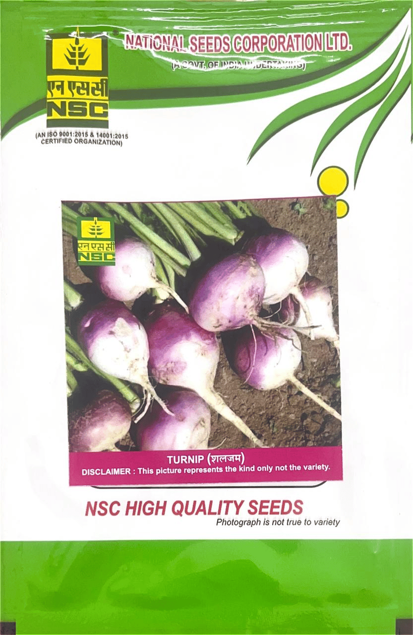 NSC Vegetable Seed- Turnip Seed-PTWG-100gms