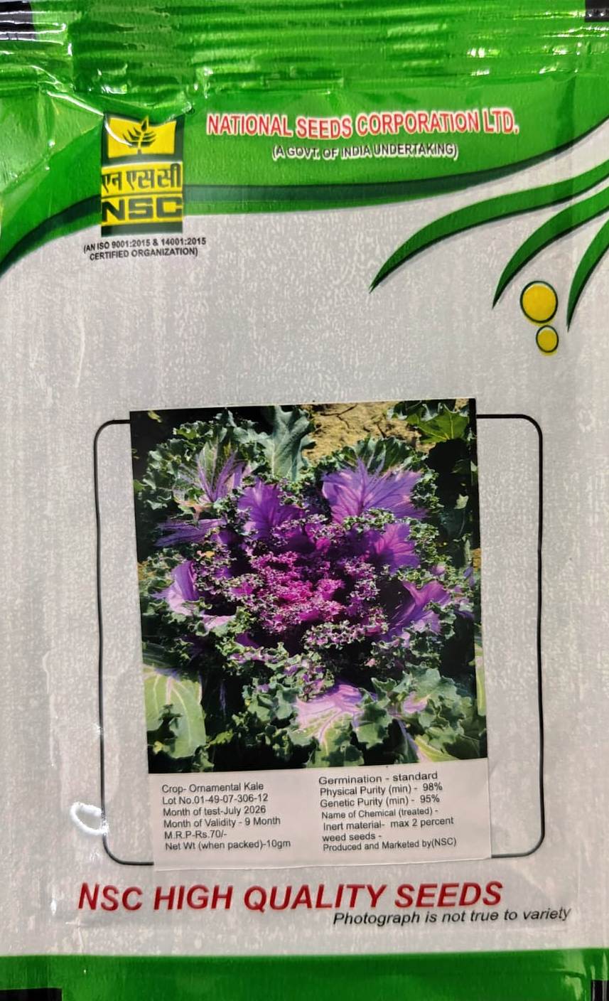 NSC High Quality Seeds - Ornamental Kale (10g)