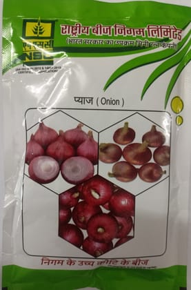 NSC Onion Bhima Shakti-100 Gram Truthfully Labelled Seed Pouch