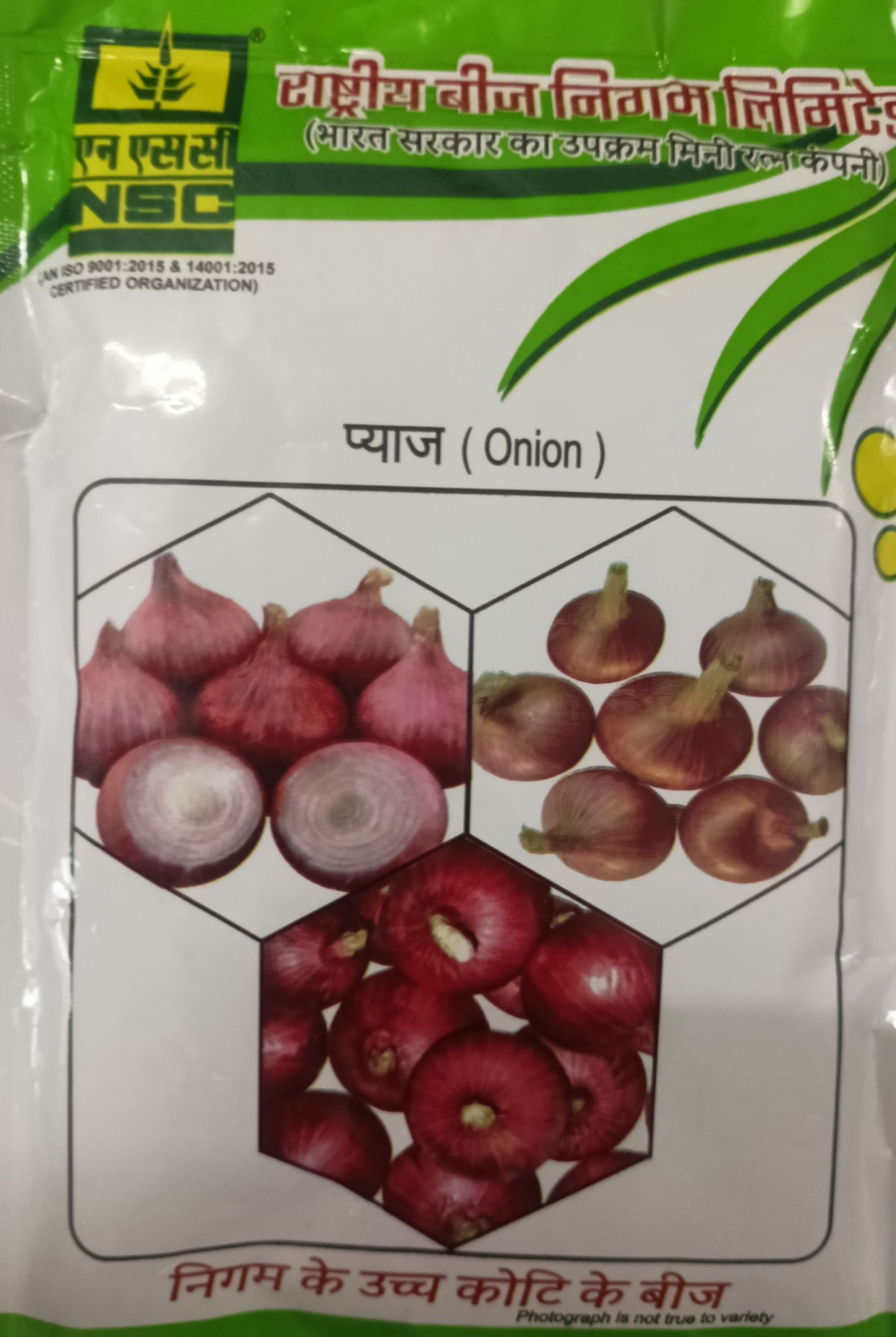 NSC Onion Bhima Dark Red-100 Truthfully Labelled Seed Pouch