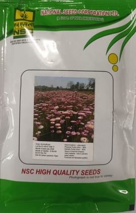NSC Acroclinium Flower, 10 Gram Truthfully Labelled Seed Pouch