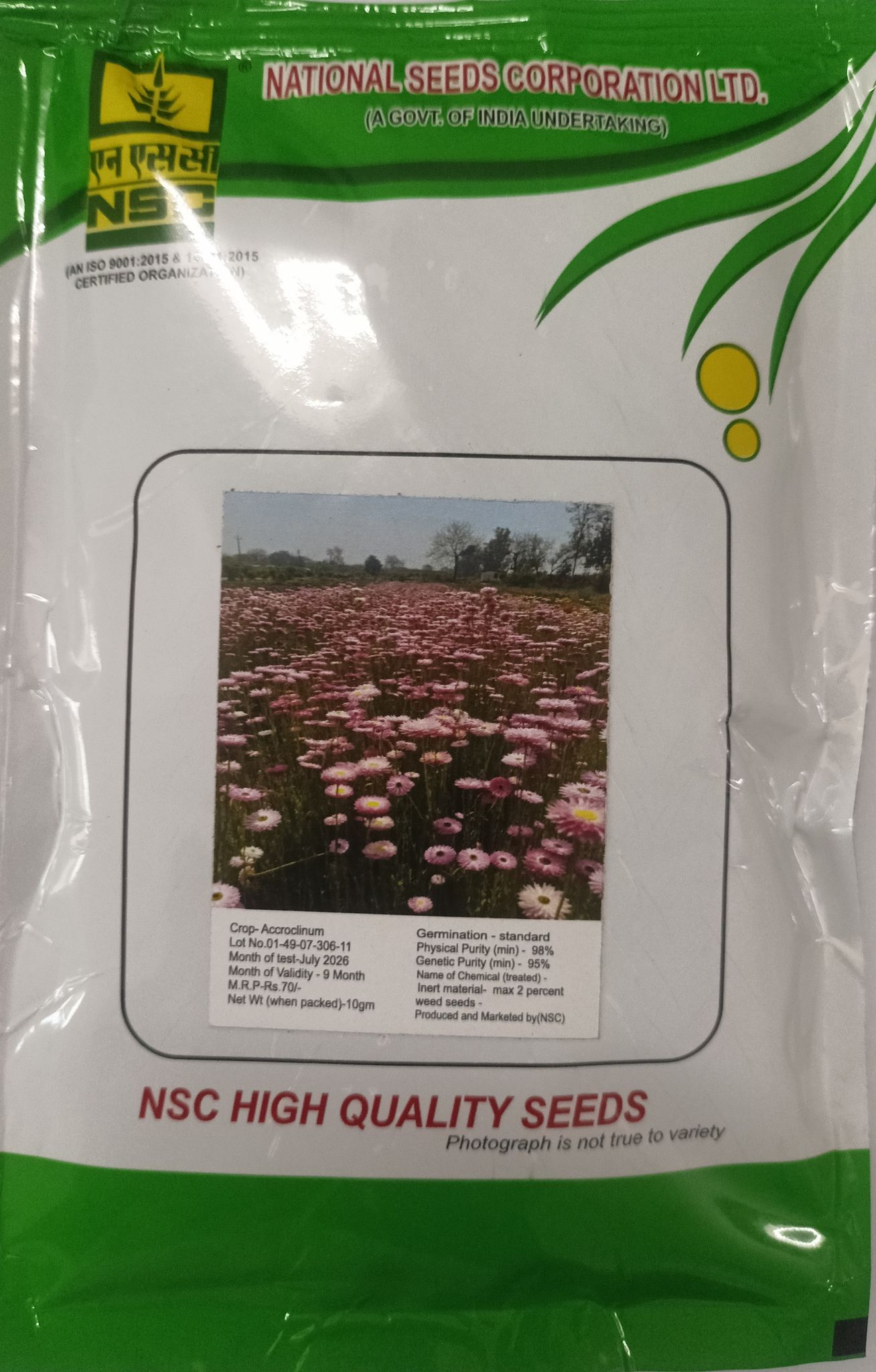 NSC Acroclinium Flower, 10 Gram Truthfully Labelled Seed Pouch