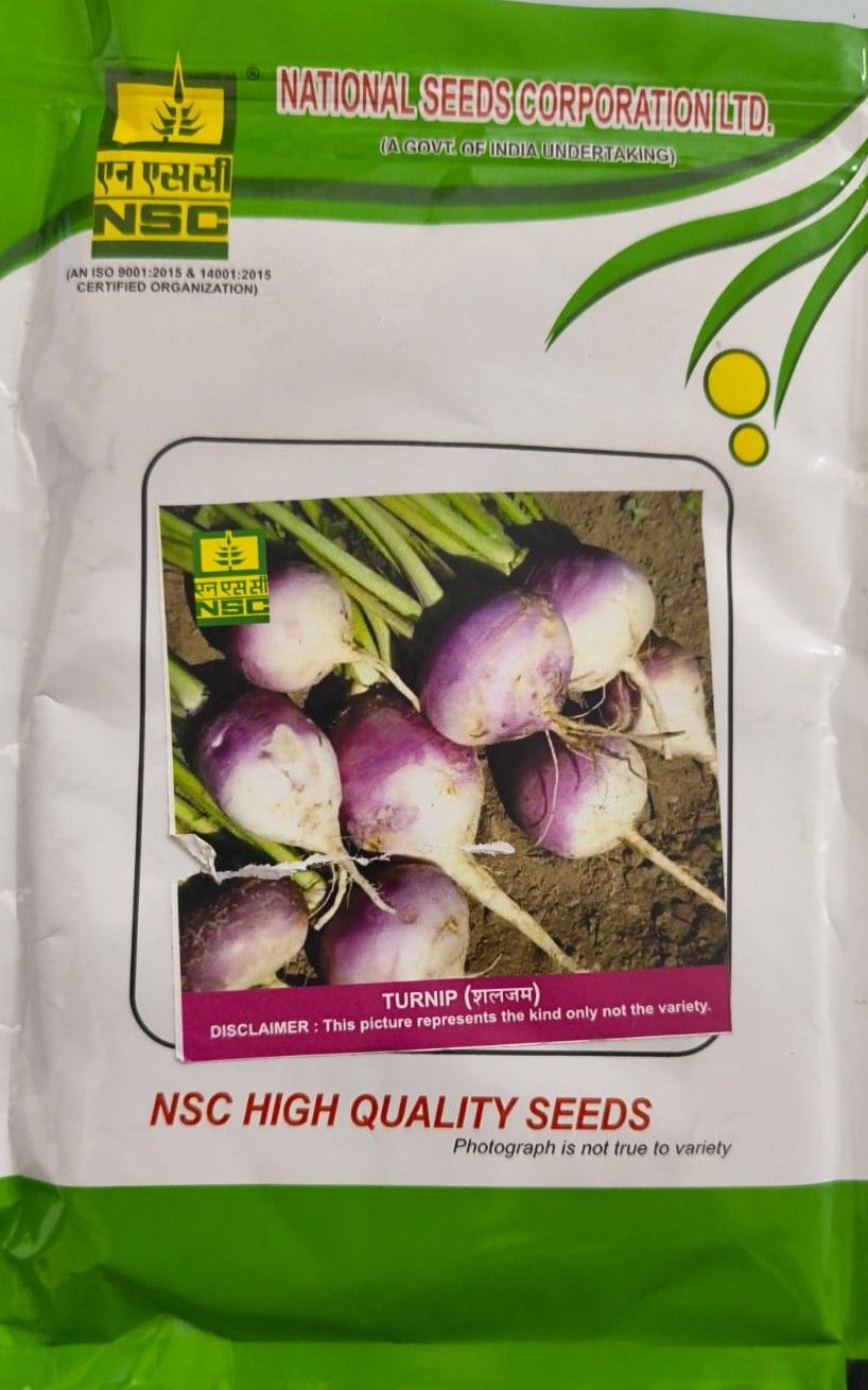 NSC Turnip, 100g Truthful Label Seed