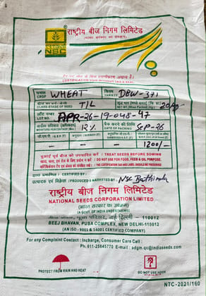 NSC WHEAT DBW-371 TL