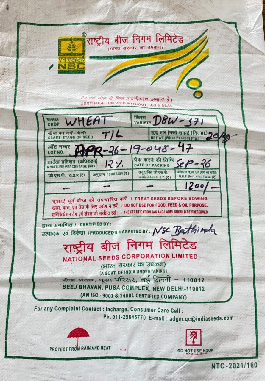 NSC WHEAT DBW-371 TL