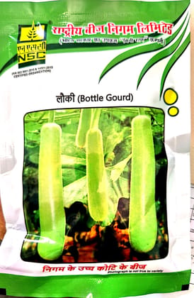 NSC BOTTLE GOURD / VAR - PH-3  10 GM