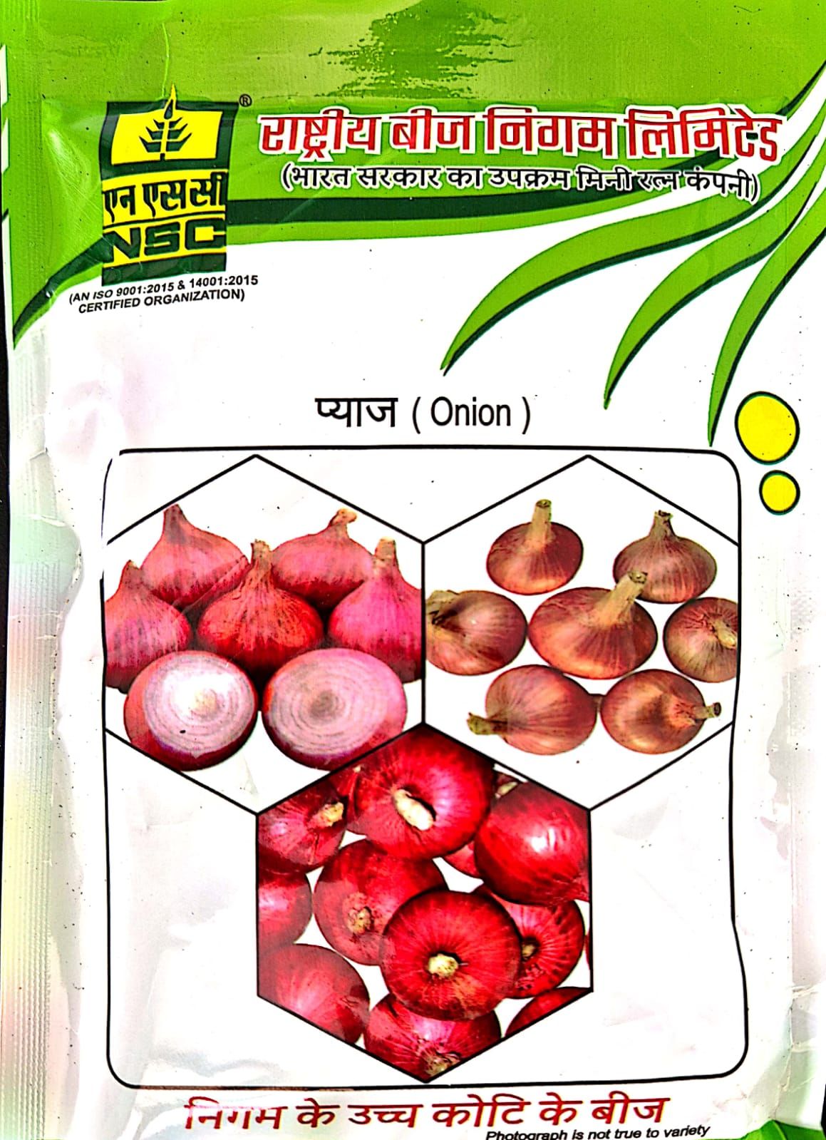 NSC ONION SEEDS/VAR - AFDR - 100 GM