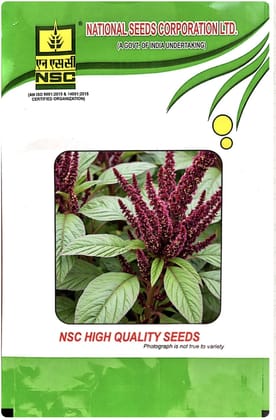 NSC AMARANTHUS/ VAR - ARKA ARUNIMA - 100 GM