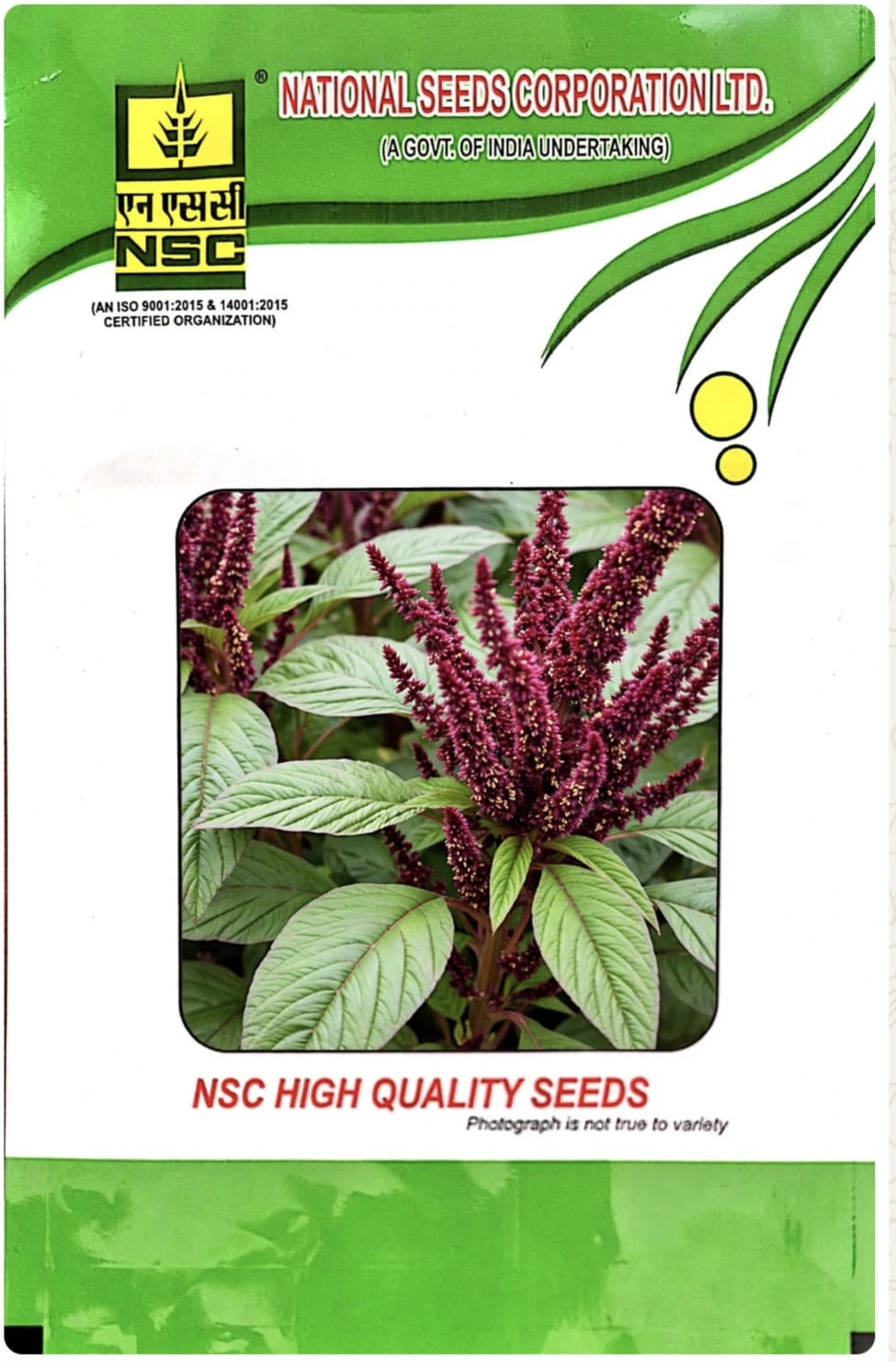 NSC AMARANTHUS/ VAR - ARKA ARUNIMA - 100 GM