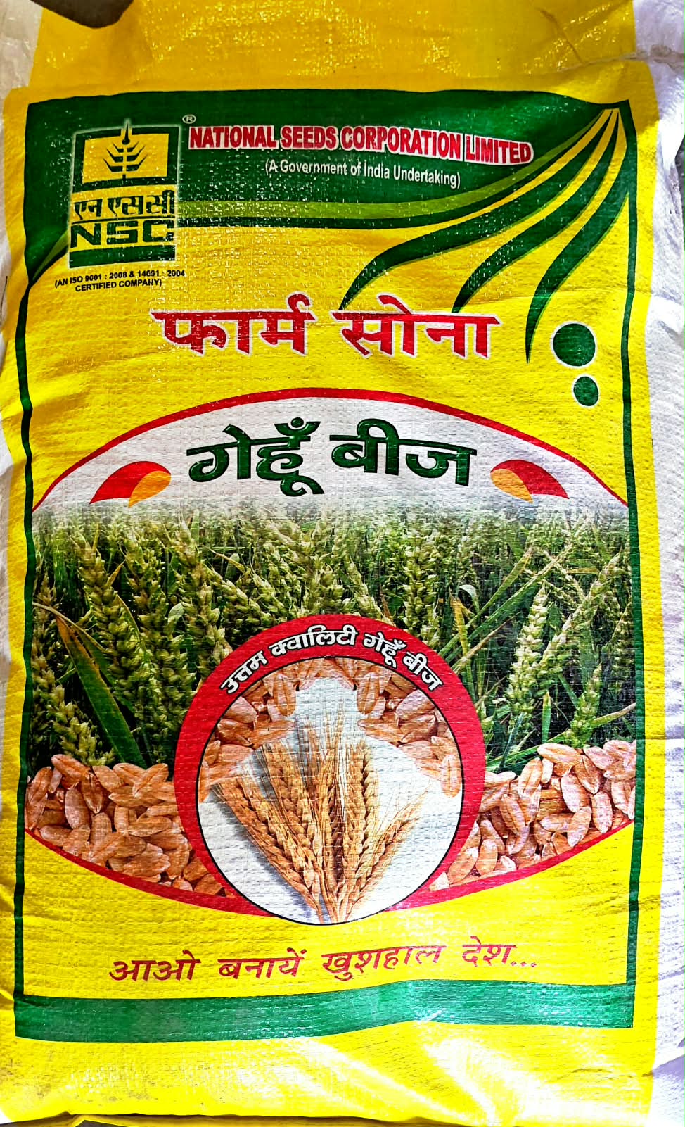 NSC Wheat DBW-222