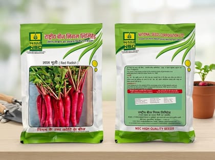 NSC RADISH(मुली)/PUSA GULABI 100 GM T/L SEEDS NSC RADISH(मुली)/PUSA GULABI 100 GM T/L SEEDS