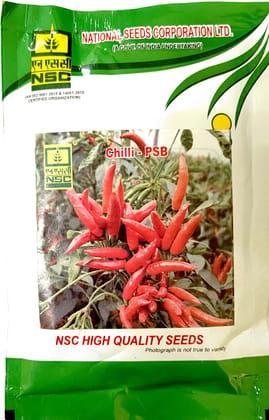 NSC CHILLI PUSA SADABAHAR (PSB) HIGH-QUALITY T/L SEEDS 50 GMS POUCH