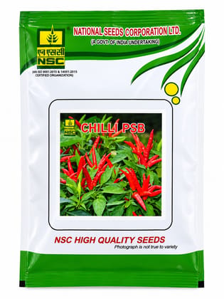 NSC Chilli Pusa Sadabahar 25 gram 
