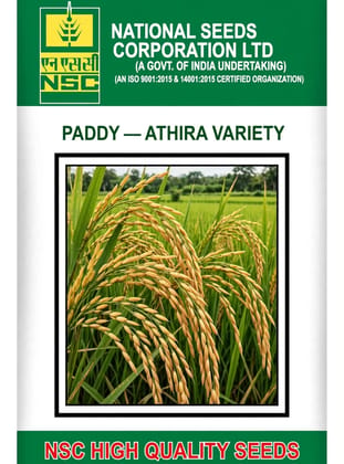 NSC PADDY / VAR - ATHIRA     2 KG