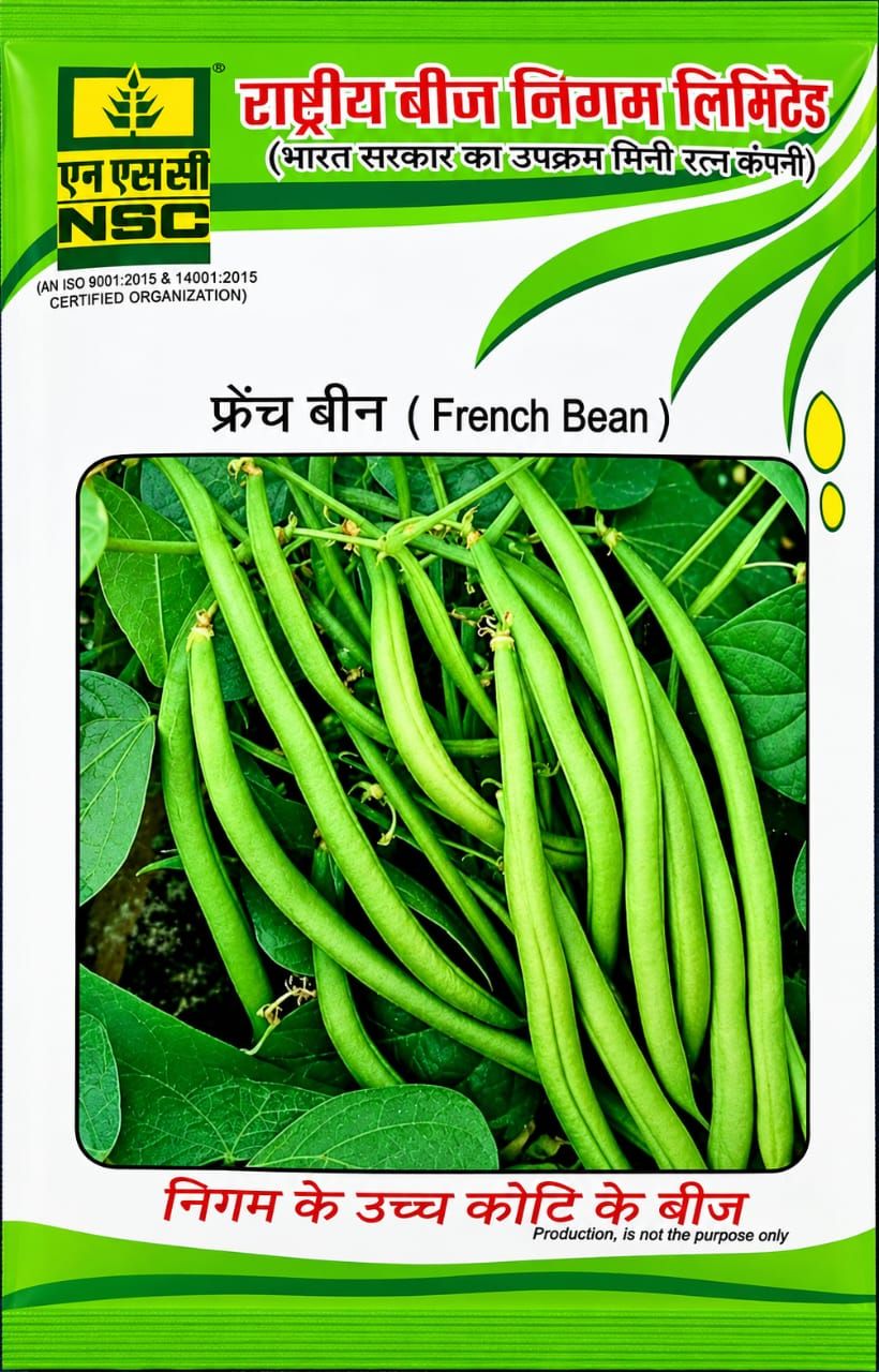 NSC - FRENCH BEAN VARIETY - ARKA KOMAL HIGH-QUALITY SEEDS - 250 GMS POUCH